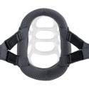 Muzzle Company of Animals Transparent 6