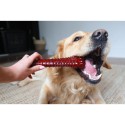 Osso Nylabone Castanho Bacon XL