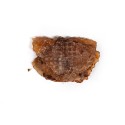 Alimentation humide Snackys Poisson