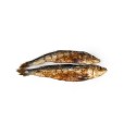 Nassfutter Snackys Fisch