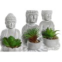 Planta Decorativa Home ESPRIT Polietileno Cimento Buda Oriental 10,5 x 8 x 16 cm (3 Unidades)