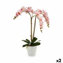 Dekorationspflanze Ibergarden A18124-71-3WH Kunststoff Orchidee 40 x 77 x 35 cm (2 Stück)