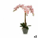 Dekorationspflanze Ibergarden A18124-71-3 Kunststoff Orchidee 29 x 78 x 35 cm 60 x 78 x 44 cm (2 Stück)