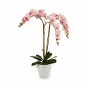 Planta Decorativa Ibergarden A18124-71-3WH Plástico Orquídea 40 x 77 x 35 cm (2 Unidades)