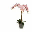 Dekorationspflanze Ibergarden A18124-71-3 Kunststoff Orchidee 29 x 78 x 35 cm 60 x 78 x 44 cm (2 Stück)