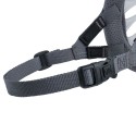 Muzzle Company of Animals Transparent 4