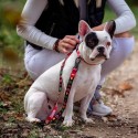 Dog Lead Marvel