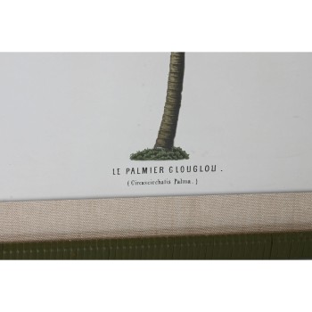 Cadre Home ESPRIT Vert Beige Palmiers Tropical 50 x 2,5 x 70 cm (4 Unités)