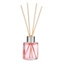Bastoncini Profumati Ibergarden 11005 Geranio 30 ml (12 Unità)