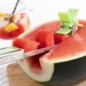 Cortador de Melancia em Cubos Cutmil InnovaGoods