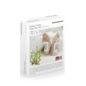 Cerotti Disintossicanti per i Piedi Bamboo InnovaGoods 10 Unità