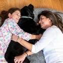 Cama de Perro para Humanos  Human Dog Bed XXL InnovaGoods Grey