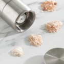 Gewürzmühle 4 in 1 InnovaGoods Millmix (1 Stück) (Restauriert A)