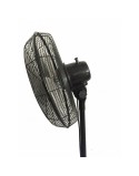 Freestanding Fan Bastilipo Tarifa 90W Black 90 W (1 Unit)