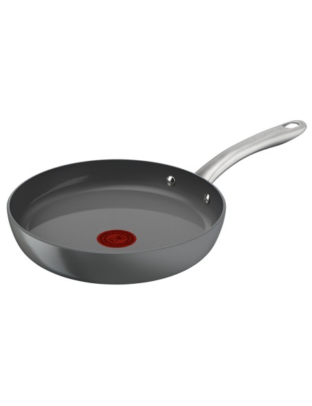 Padella Tefal C4240253 Grigio Alluminio Ø 20 cm