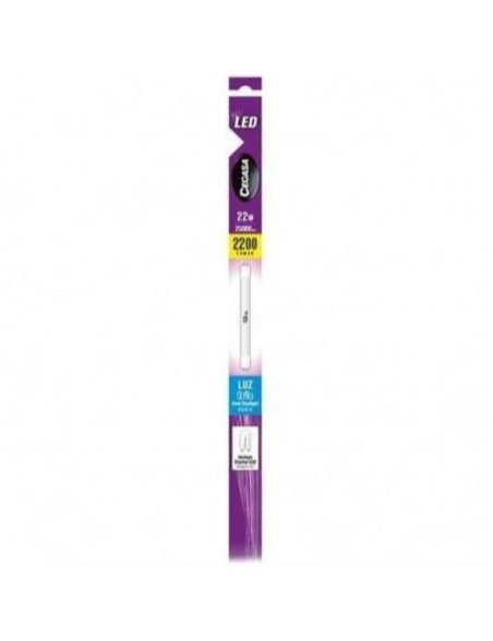 Lampe LED Cegasa