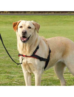 Hundegeschirr Trixie