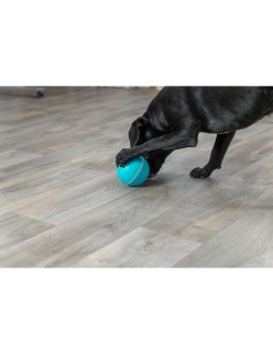 Giocattoli per cani Trixie Azzurro Caucciù Plastica TPR Ø 14 cm Snacks