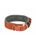 Coleira para Cães Trixie Premium Laranja Grafite S/M 33-42 cm