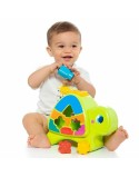 Interactive Toy Moltó 57 x 27,5 x 97 cm Tortoise 12 Pieces