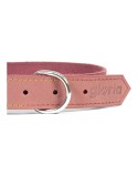 Collar para Perro Gloria Oasis Rosa (1,5 x 40 cm)