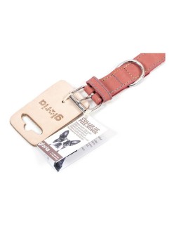 Collare per Cani Gloria Oasis Rosa (1,5 x 40 cm)
