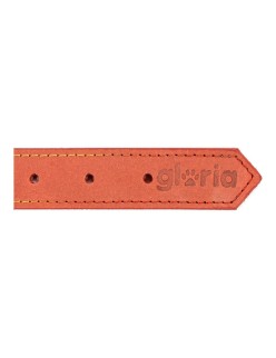 Collar para Perro Gloria Oasis Rojo (35 x 1,2 cm)