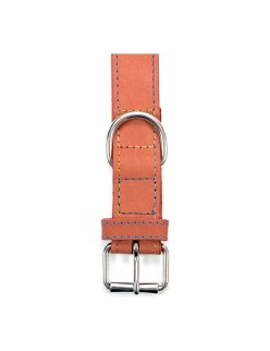 Collar para Perro Gloria Oasis Rojo (35 x 1,2 cm)