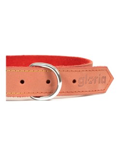 Collar para Perro Gloria Oasis Rojo (35 x 1,2 cm)