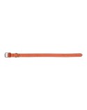 Collier pour Chien Gloria Oasis Rouge (35 x 1,2 cm)