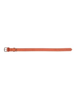 Collier pour Chien Gloria Oasis Rouge (35 x 1,2 cm)