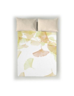 Top sheet Devota & Lomba Rai