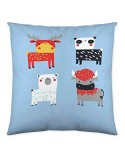 Fodera per cuscino Cool Kids Planet Earth (50 x 50 cm)