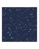 Funda Nórdica Cool Kids Sven Reversible