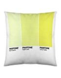 Housse de coussin Ombre C Pantone Localization_B086JQZYZH Réversible 50 x 50 cm