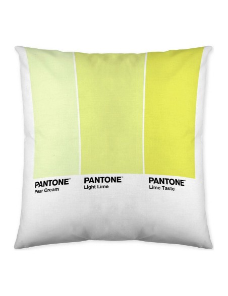 Fodera per cuscino Ombre C Pantone Localization_B086JQZYZH Reversibile 50 x 50 cm