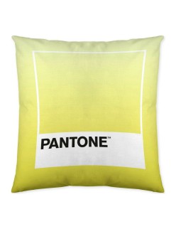 Fodera per cuscino Ombre C Pantone Localization_B086JQZYZH Reversibile 50 x 50 cm