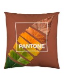 Housse de coussin Leaf Pantone Localization-B086JQ6G5Z Réversible 50 x 50 cm