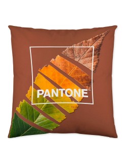 Housse de coussin Leaf Pantone Localization-B086JQ6G5Z Réversible 50 x 50 cm