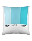 Housse de coussin Ombre Pantone Localization-B086JQ1ZM7 Réversible 50 x 50 cm