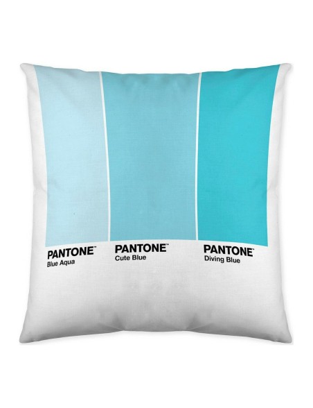 Housse de coussin Ombre Pantone Localization-B086JQ1ZM7 Réversible 50 x 50 cm