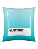Housse de coussin Ombre Pantone Localization-B086JQ1ZM7 Réversible 50 x 50 cm