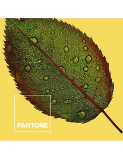 Housse de Couette Nature Pantone