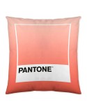 Housse de coussin Ombre B Pantone Localization-B086JQB7QD Réversible 50 x 50 cm