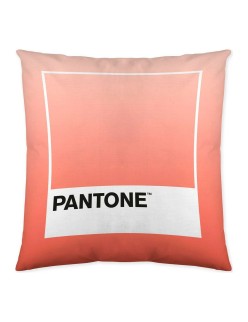 Fodera per cuscino Ombre B Pantone Localization-B086JQB7QD Reversibile 50 x 50 cm