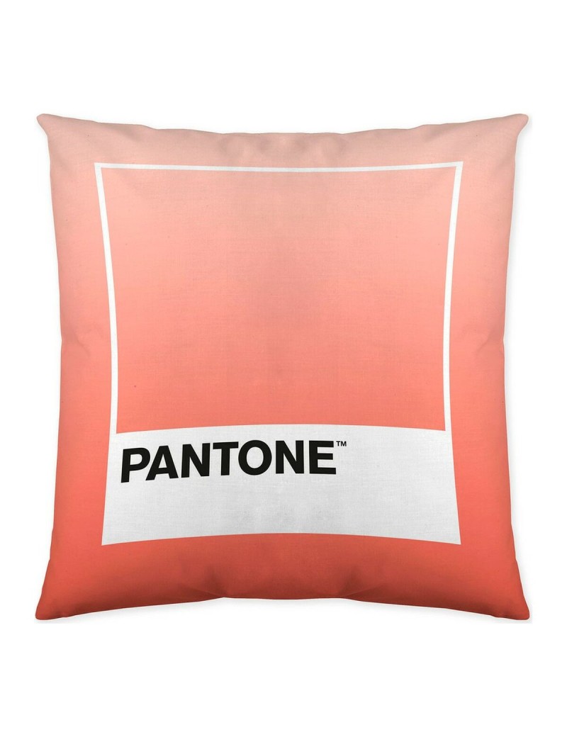 Housse de coussin Ombre B Pantone Localization-B086JQB7QD Réversible 50 x 50 cm