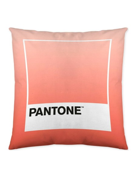 Housse de coussin Ombre B Pantone Localization-B086JQB7QD Réversible 50 x 50 cm