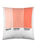 Housse de coussin Ombre B Pantone Localization-B086JQB7QD Réversible 50 x 50 cm