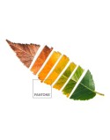 Copripiumino Leaf Pantone