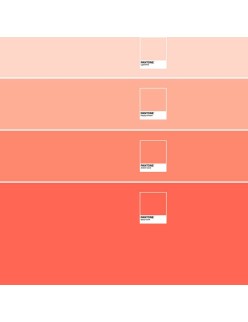 Capa nórdica Ombre B Pantone